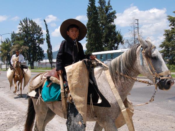 Horse riding & trekking in Argentina