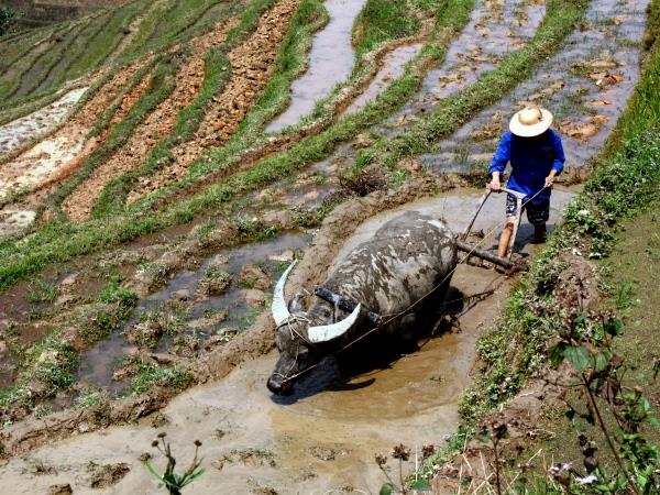 Vietnam tailor made holiday, North to South