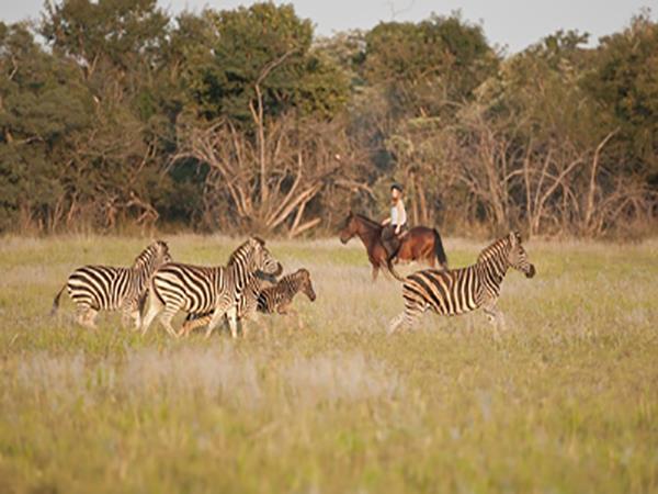 Zimbabwe riding vacation