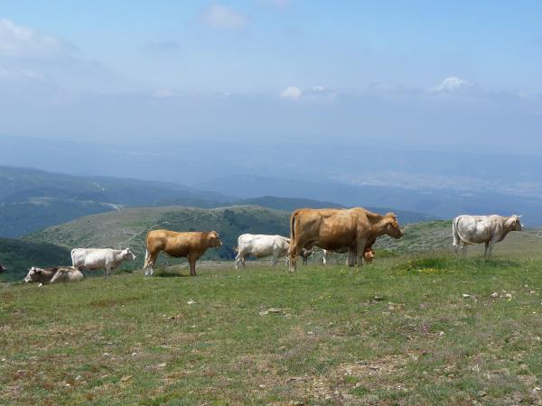 Self guided cycling vacation in Spain