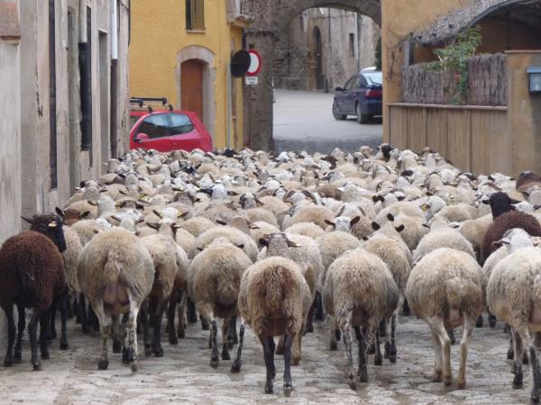 Self guided cycling vacation in Spain