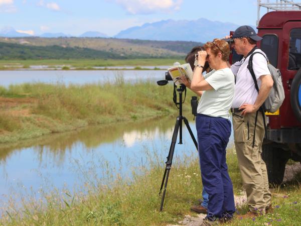 Montenegro bird watching vacation | Responsible Travel