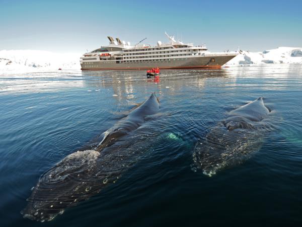 Antarctica, South Georgia & Falklands luxury cruise