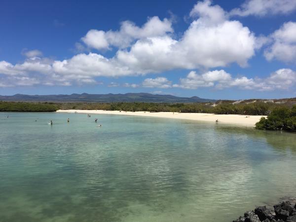 Classic Galapagos land based holiday, 8 days