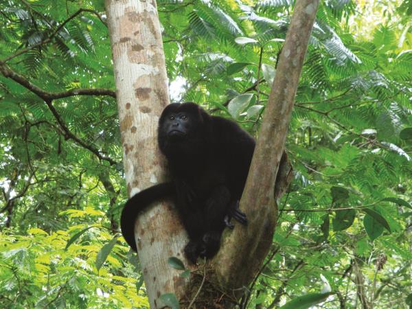 Costa Rica nature adventure tour