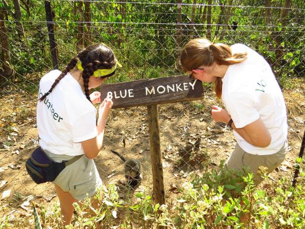 Malawi wildlife sanctuary volunteering vacation