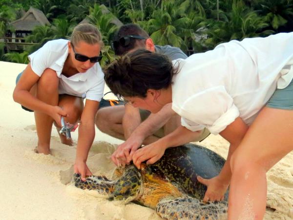 Seychelles conservation vacation