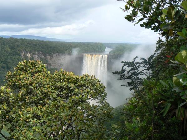 Jungle trekking vacation in Guyana