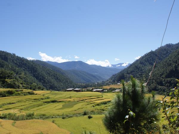 Cultural tour of Bhutan