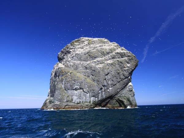 St Kilda, Outer Hebrides Cruise, Scotland