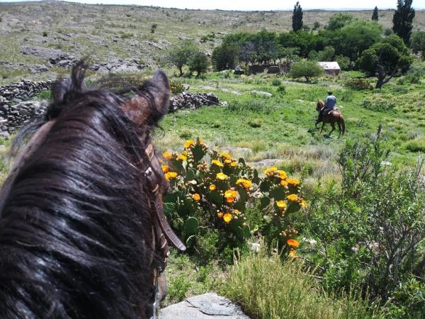 Horse riding vacation in Argentina