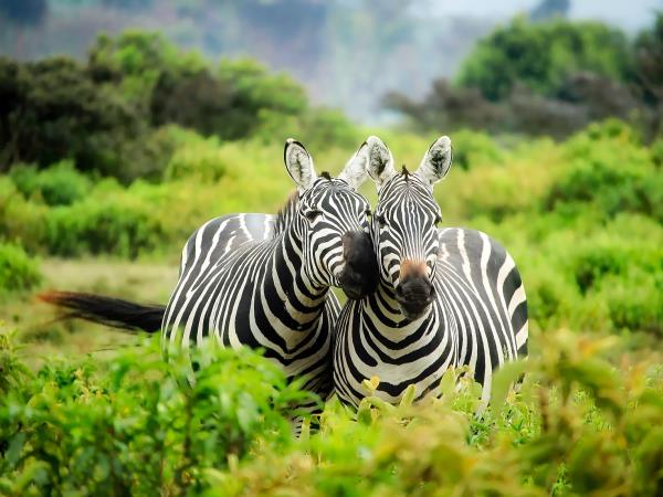 Kenya off the beaten track safari