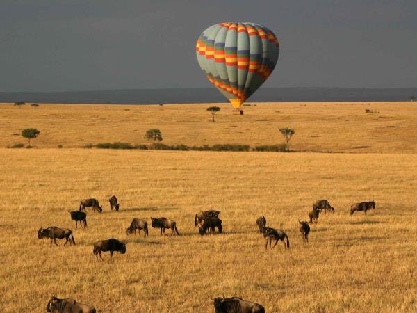 Tailor made safari, gorillas, Masai Mara & Zanzibar