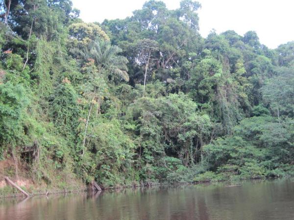 Guianas tour, small group