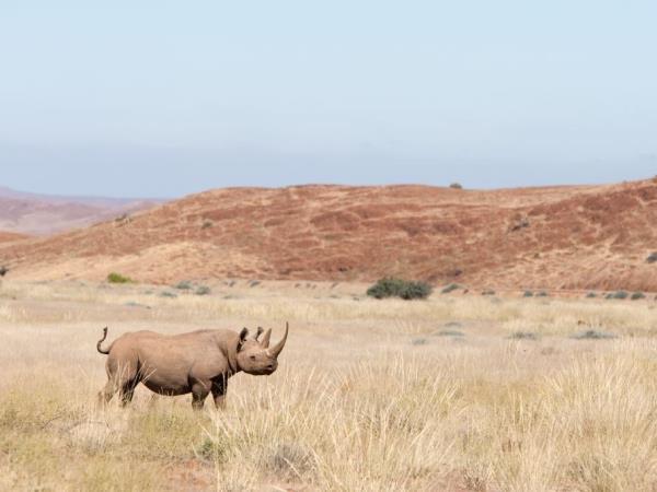 Wheelchair accessible Namibia self drive vacation