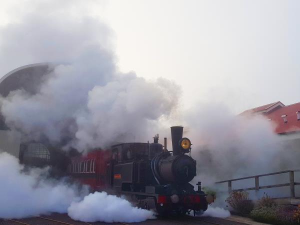 Western Tasmania wilderness tour, 5 days