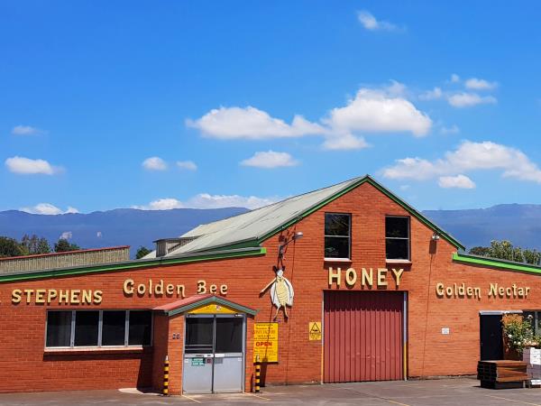 Western Tasmania wilderness tour, 5 days