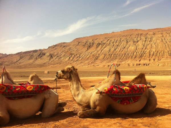 Accessible Silk Road tour