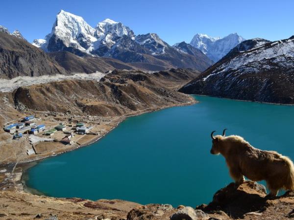 Gokyo Ri Valley trek in Nepal