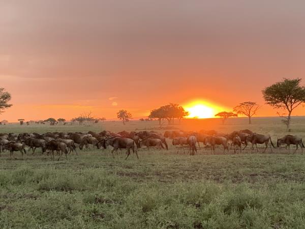 Family safari in Tanzania