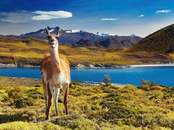 Best of Patagonia tailor made adventure vacation