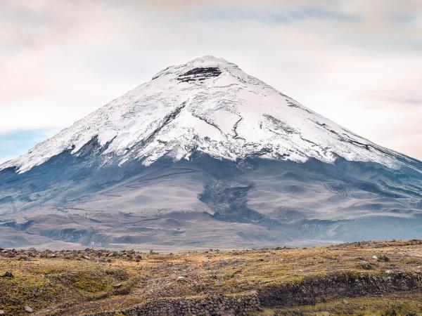 Ecuador and Amazon vacation