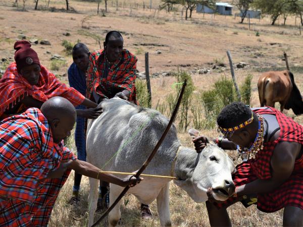 Kenya cultural tour, family ties