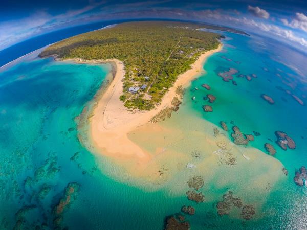 Swim with whales in Tonga