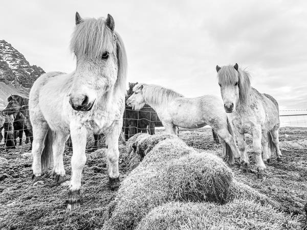 Winter photography tour in Iceland