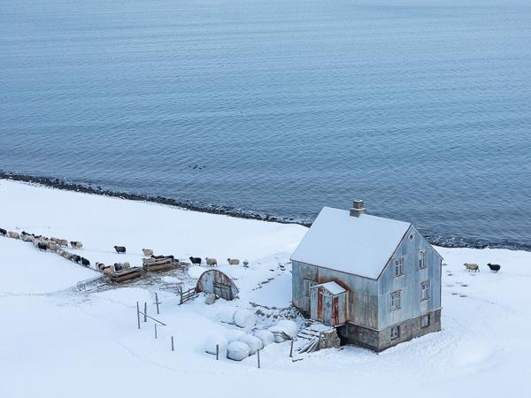 Winter photography tour in Iceland