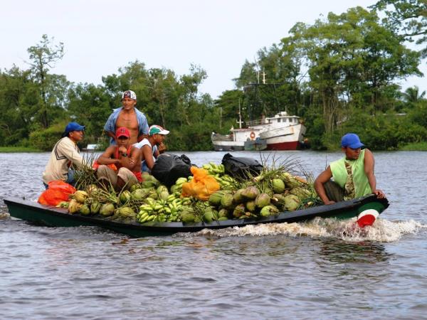 Guyana nature and culture tour