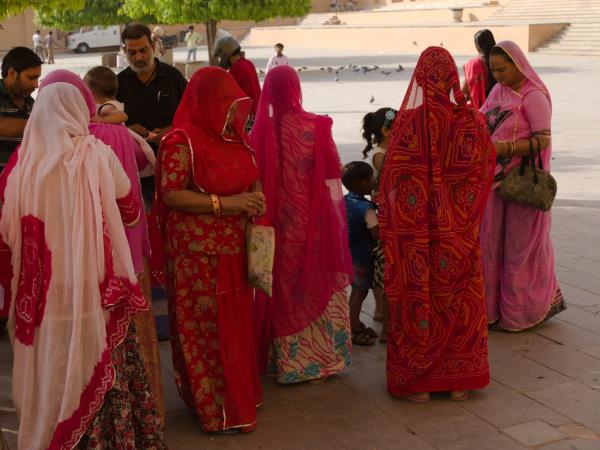 Wheelchair accessible heritage tour of India