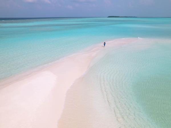 Maldives turtle conservation snorkeling cruise 