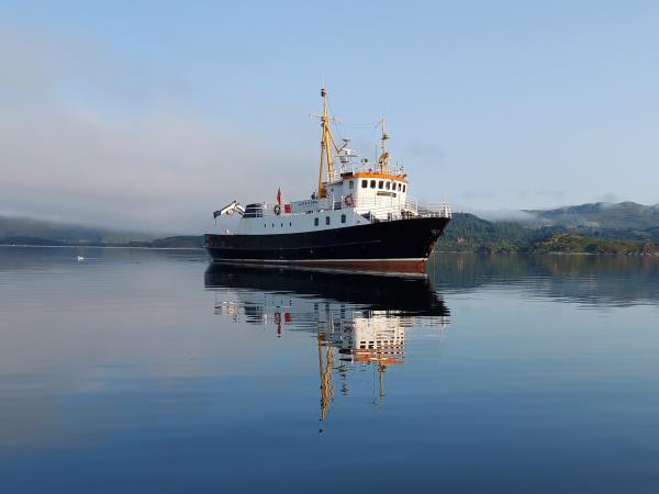 Wildlife sailing holiday in Scotland