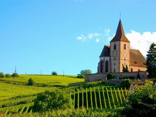 Family cycling vacation in Alsace, France