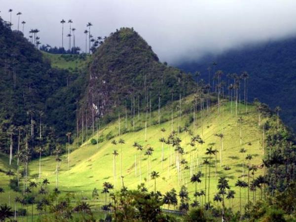 Colombia 20 day tour, cities to Caribbean coast