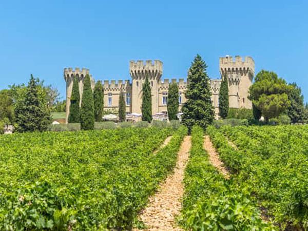 Avignon & Cotes du Rhone cycling vacation