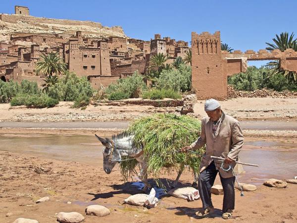 Morocco desert and cultural adventure