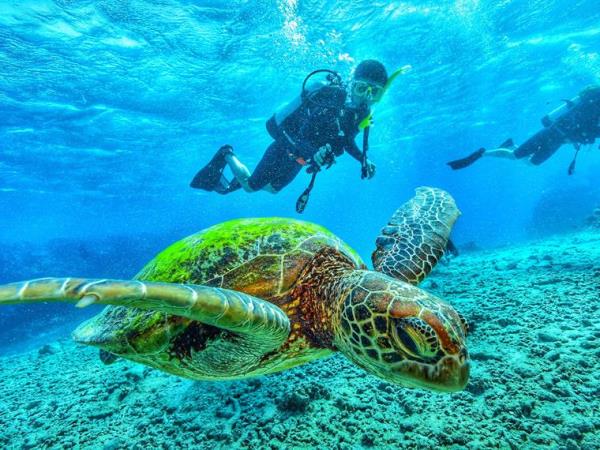 Galapagos luxury nature cruise