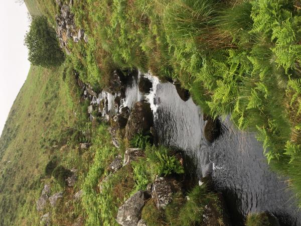 Dartmoor and Exmoor walking vacation, England