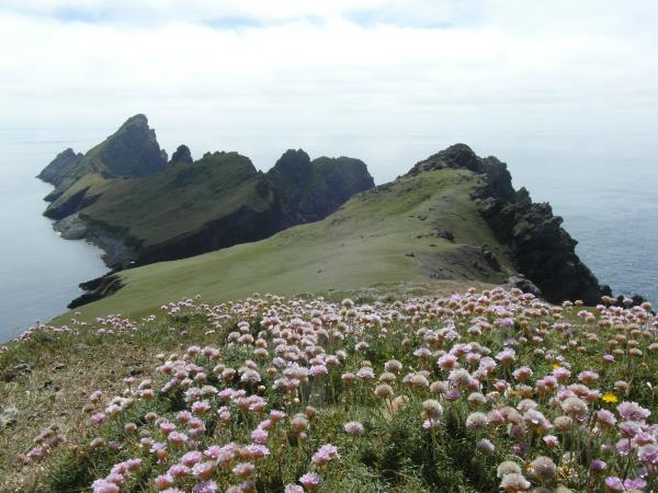 St Kilda, Outer Hebrides Cruise, Scotland