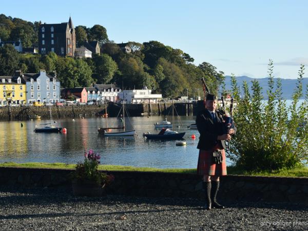 Wildlife sailing holiday in Scotland