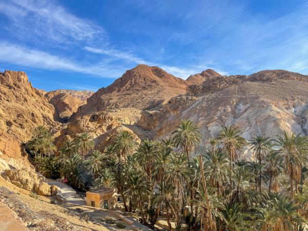 Culinary tour of Tunisia