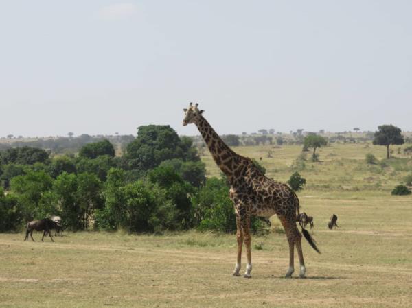 Tanzania national park vacation, off the beaten path