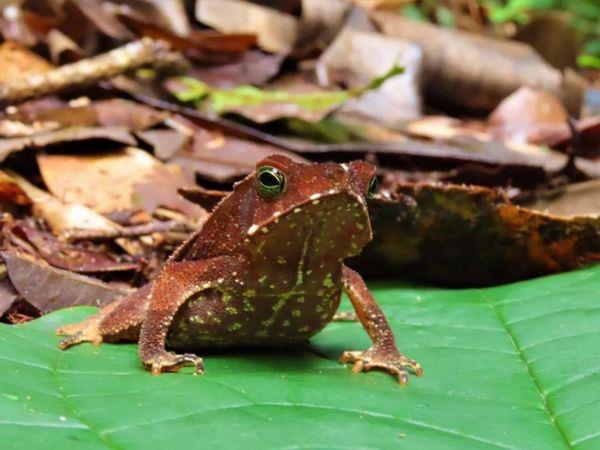 San Jos del Guaviare tour in Colombia