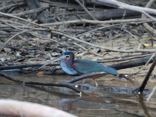 Hidden Guianas guided tour