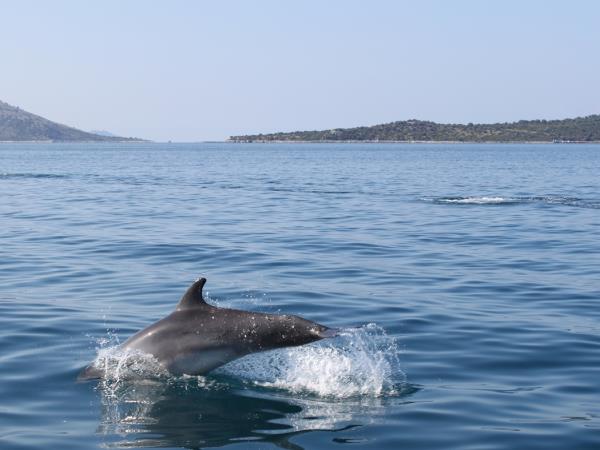 Kalamos Island nature short break, Greece