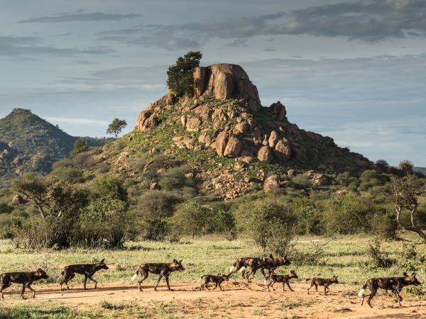 Laikipia Plateau luxury safari in Kenya