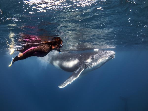 Whales and wellness tour for women, Tonga 