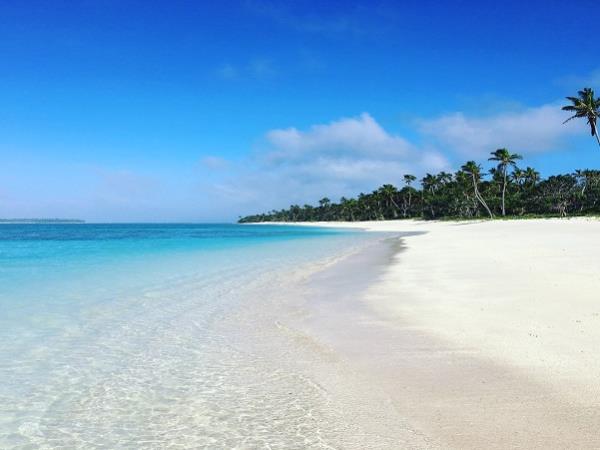 Whales and wellness tour for women, Tonga 